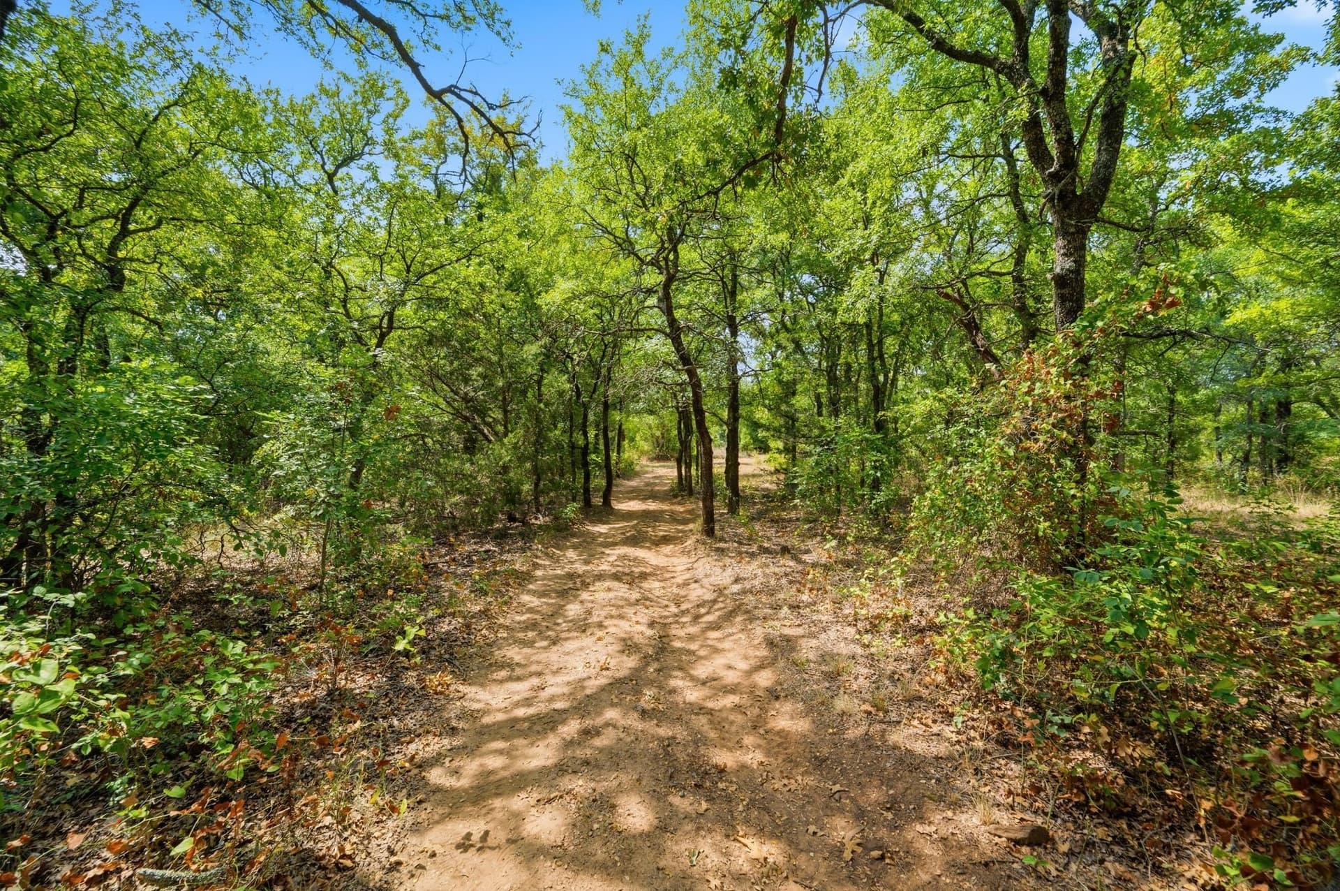16.1 acres in Wise County - photo 40