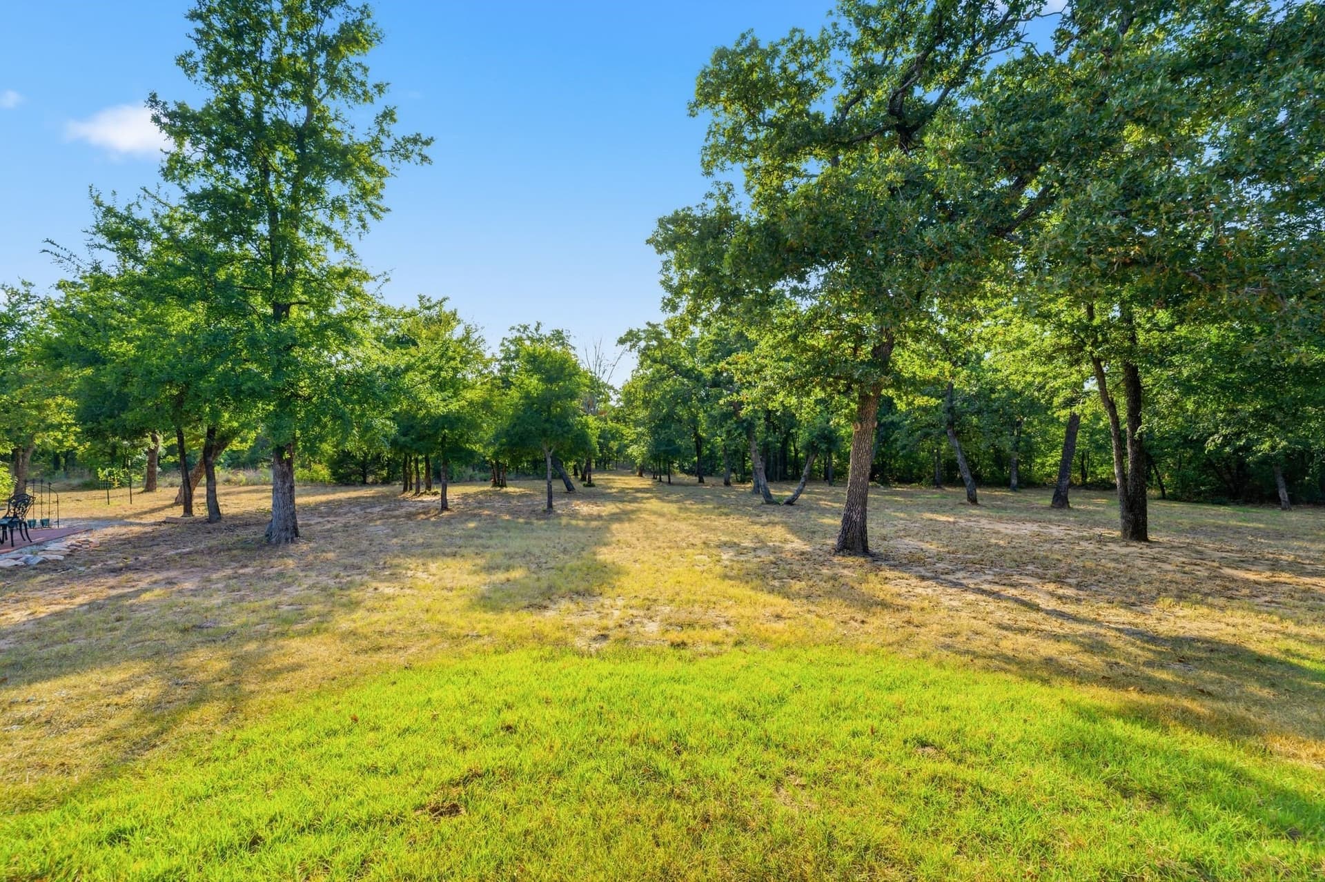 16.1 acres in Wise County - photo 37