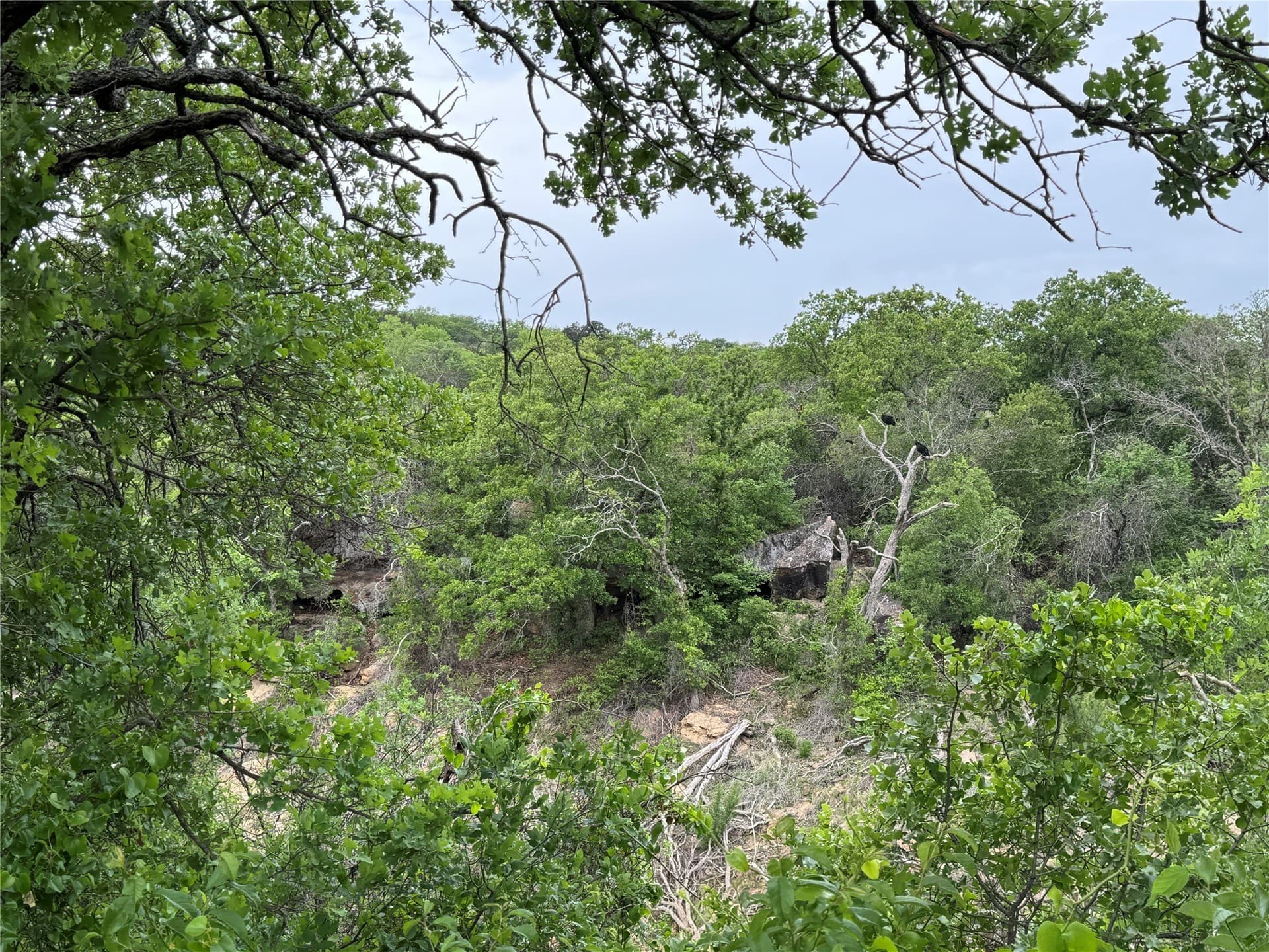 1.08 acres in Eastland County - photo 5