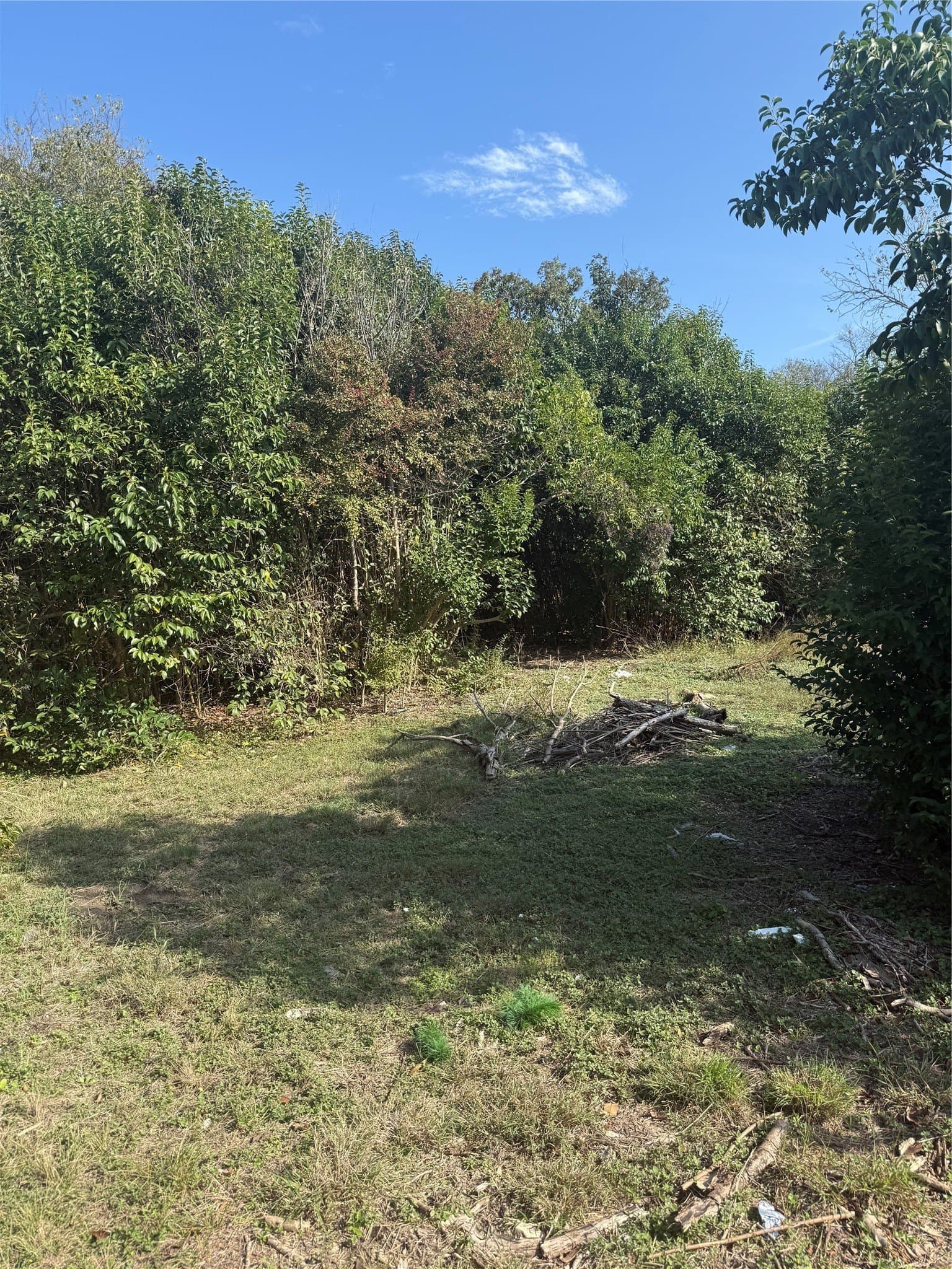 0.13 acres in Bell County gallery image 4