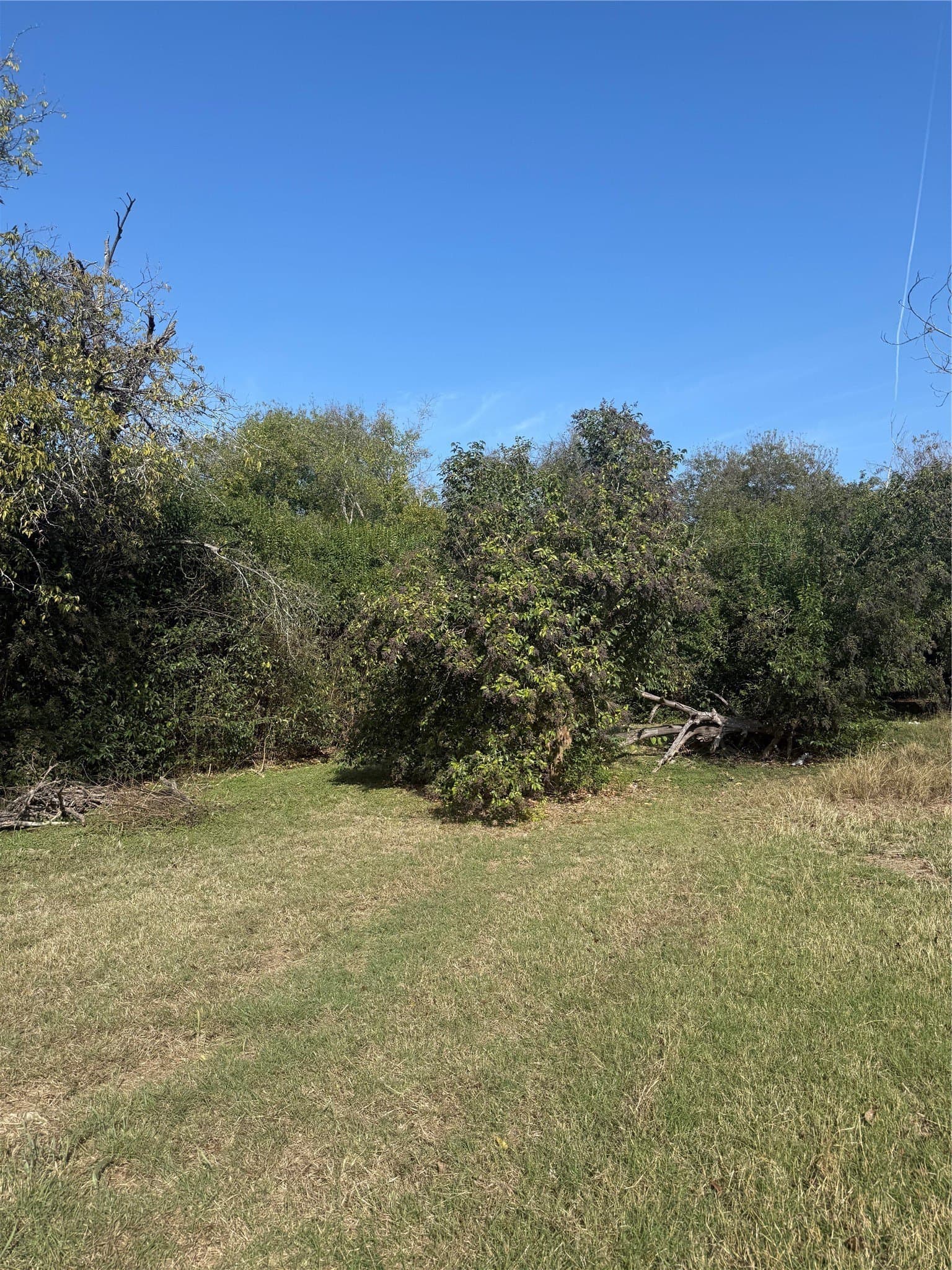 0.13 acres in Bell County gallery image 3