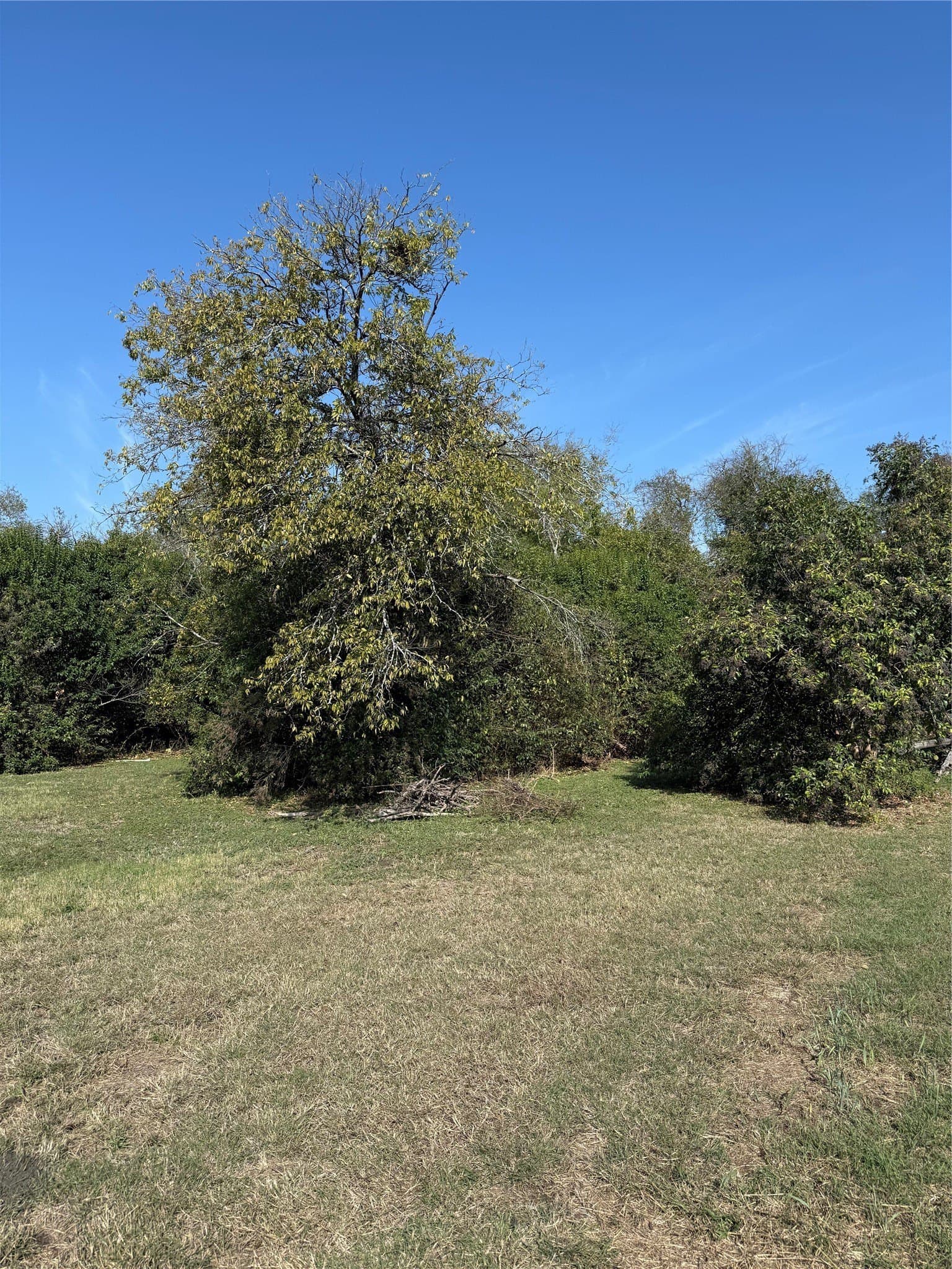 0.13 acres in Bell County featured view
