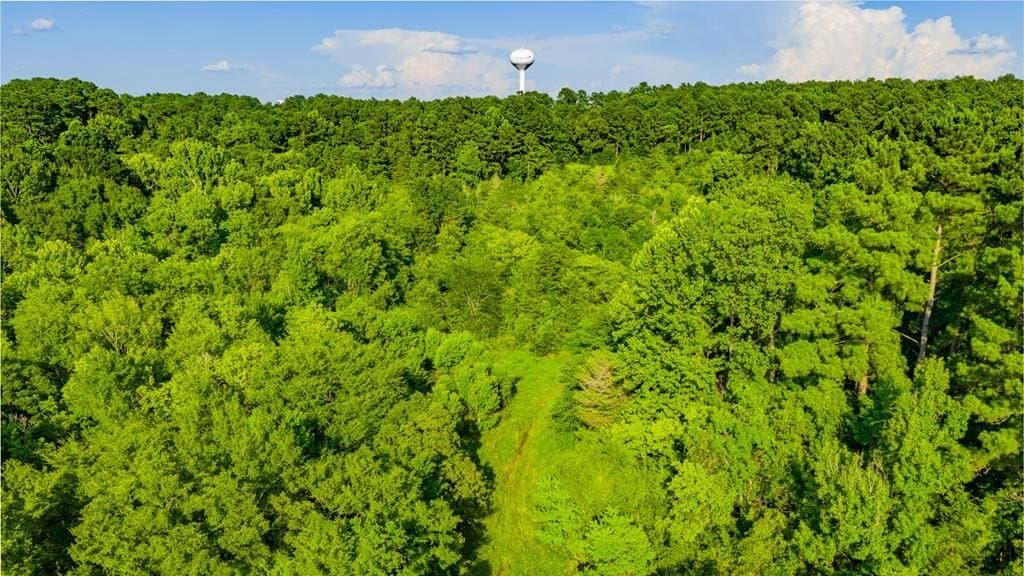 11.5 acres in Texas County - photo 7
