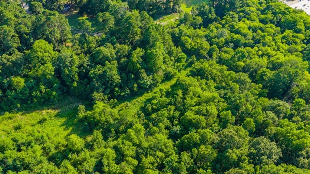 11.5 acres in Texas County gallery image 2