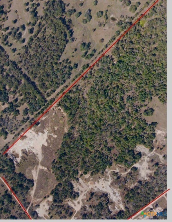 46.77 acres in Milam County gallery image 3