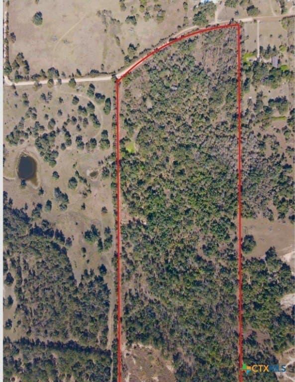 46.77 acres in Milam County gallery image 4