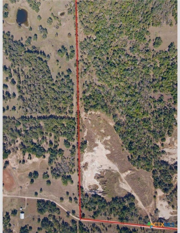 46.77 acres in Milam County gallery image 2