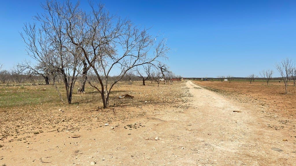 23.78 acres in Tom Green County featured view