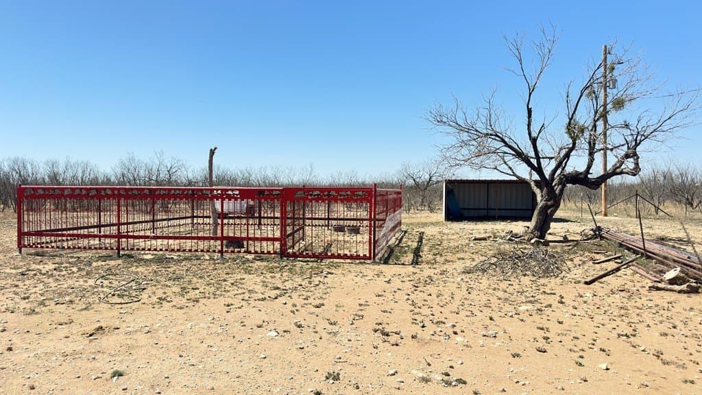 23.78 acres in Tom Green County gallery image 3