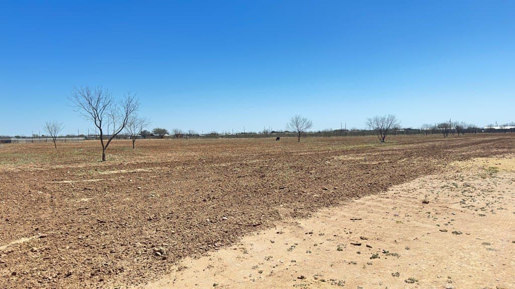 23.78 acres in Tom Green County gallery image 4