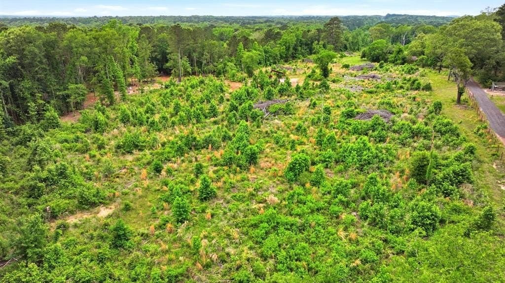 25 acres in Gregg County gallery image 4