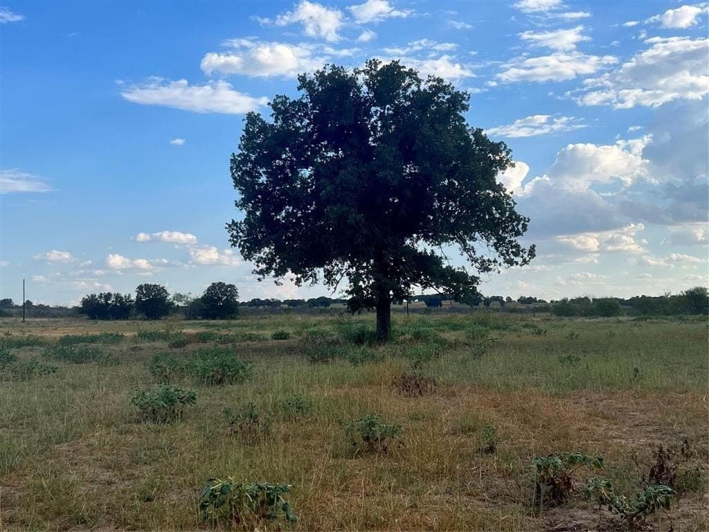 552.59 acres in Comanche County gallery image 2