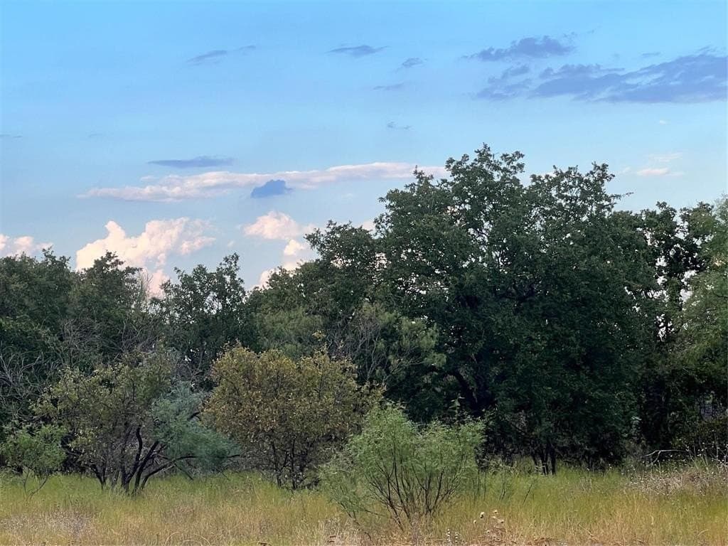 552.59 acres in Comanche County gallery image 3