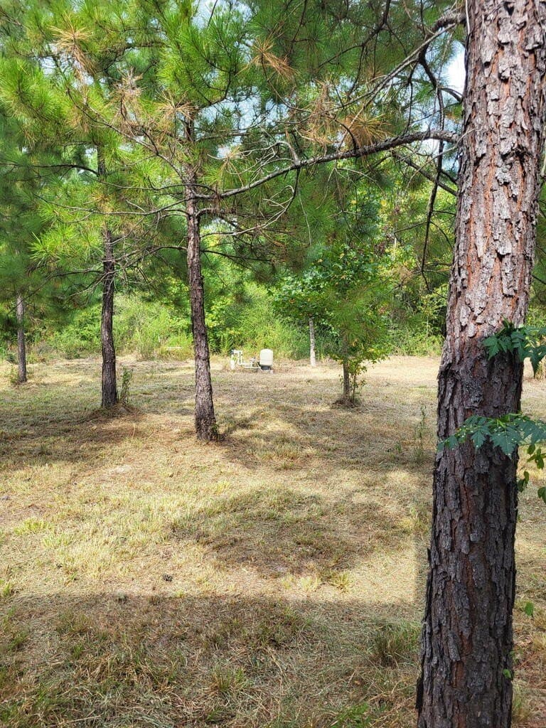 12 acres in Texas County - photo 19