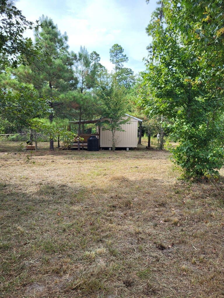 12 acres in Texas County - photo 14