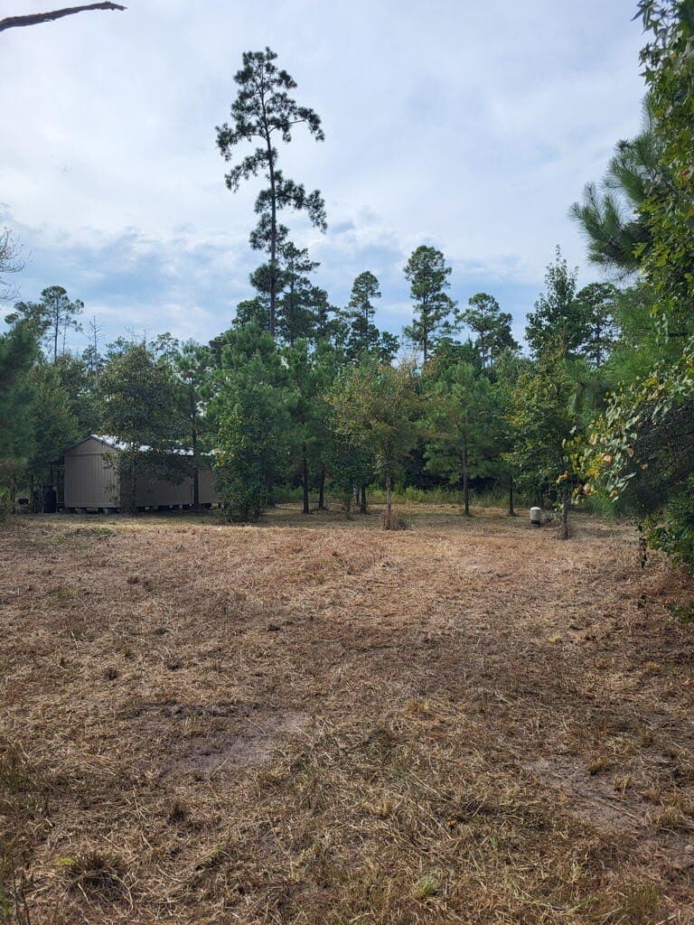 12 acres in Texas County - photo 9