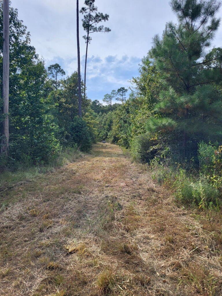 12 acres in Texas County - photo 5