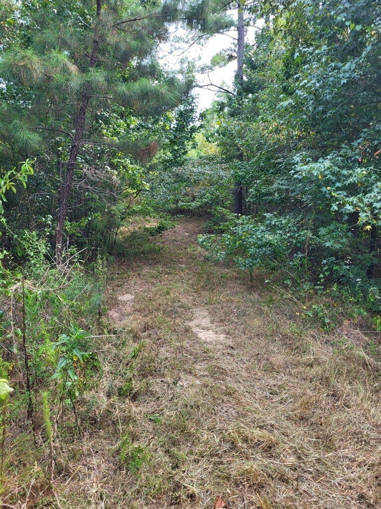 12 acres in Texas County - photo 3