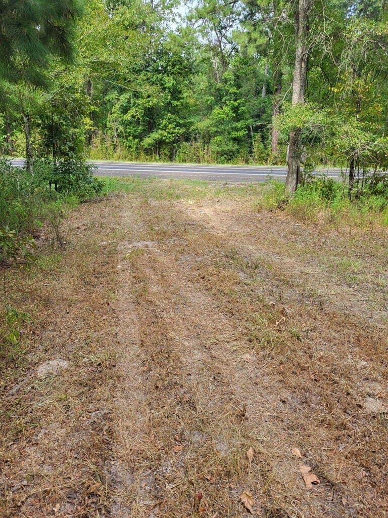 12 acres in Texas County - photo 10