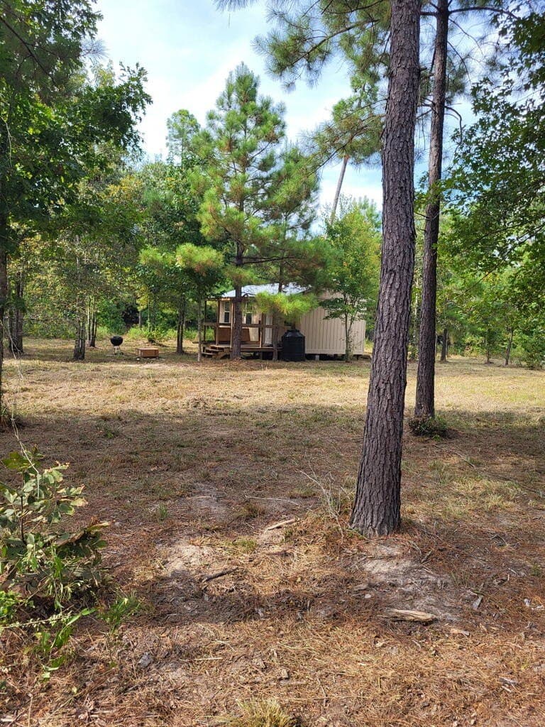 12 acres in Texas County - photo 15