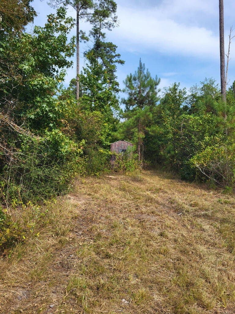12 acres in Texas County - photo 7