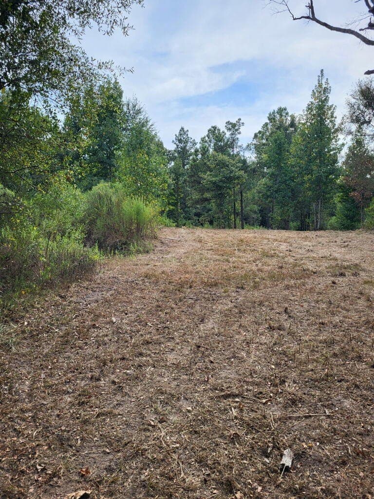 12 acres in Texas County
