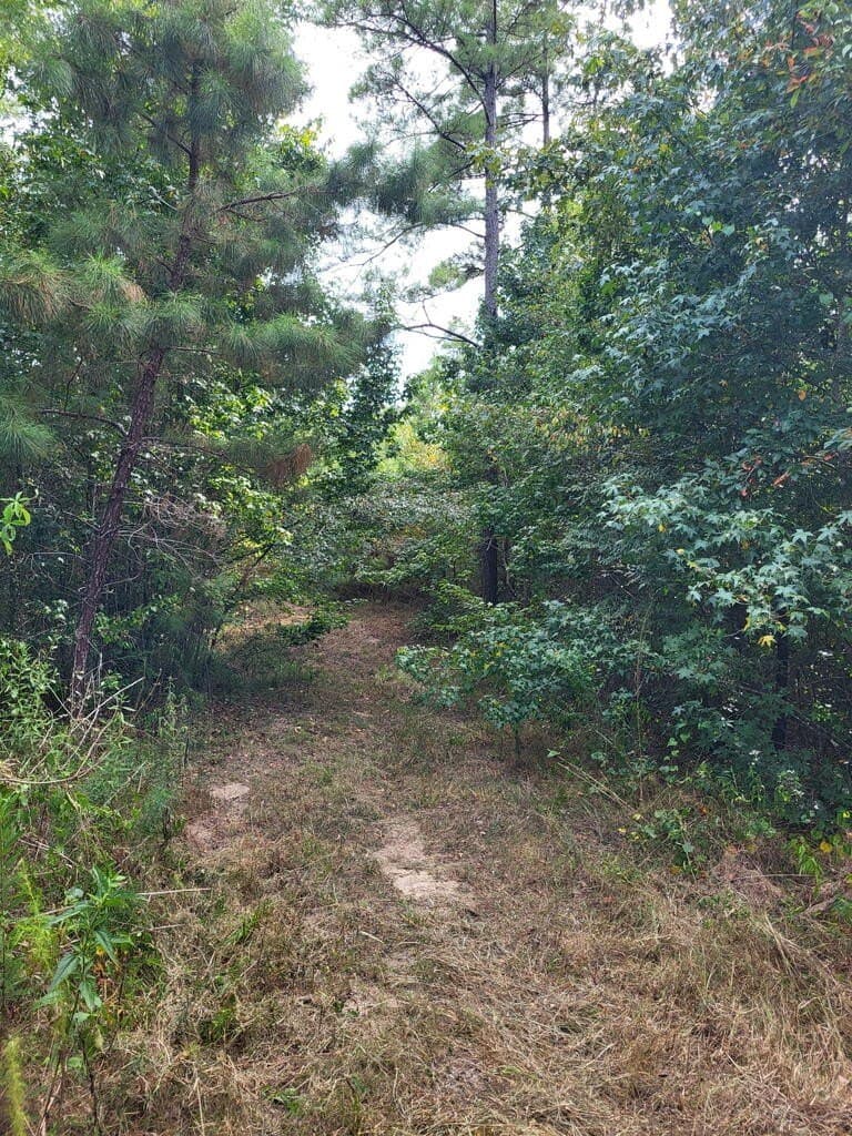 12 acres in Texas County - photo 2