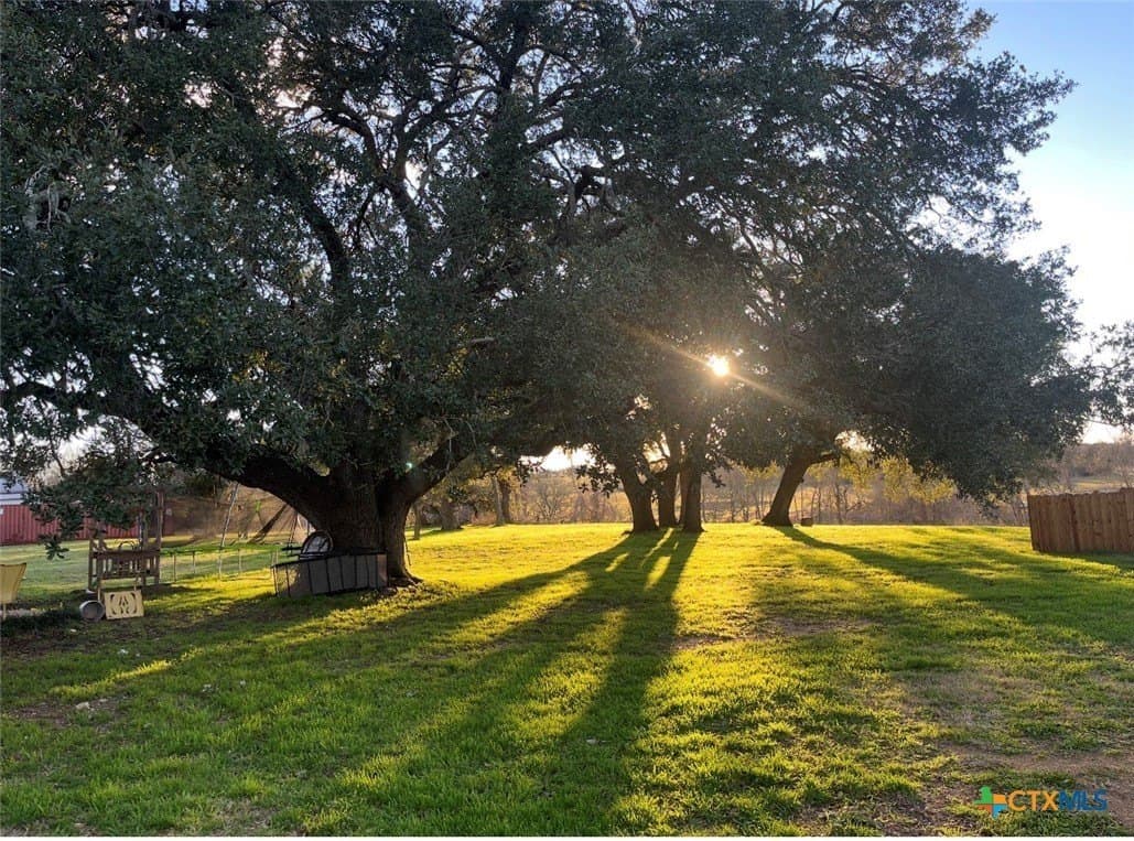 10.18 acres in Bell County - photo 41
