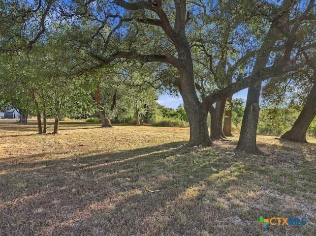 10.18 acres in Bell County - photo 44