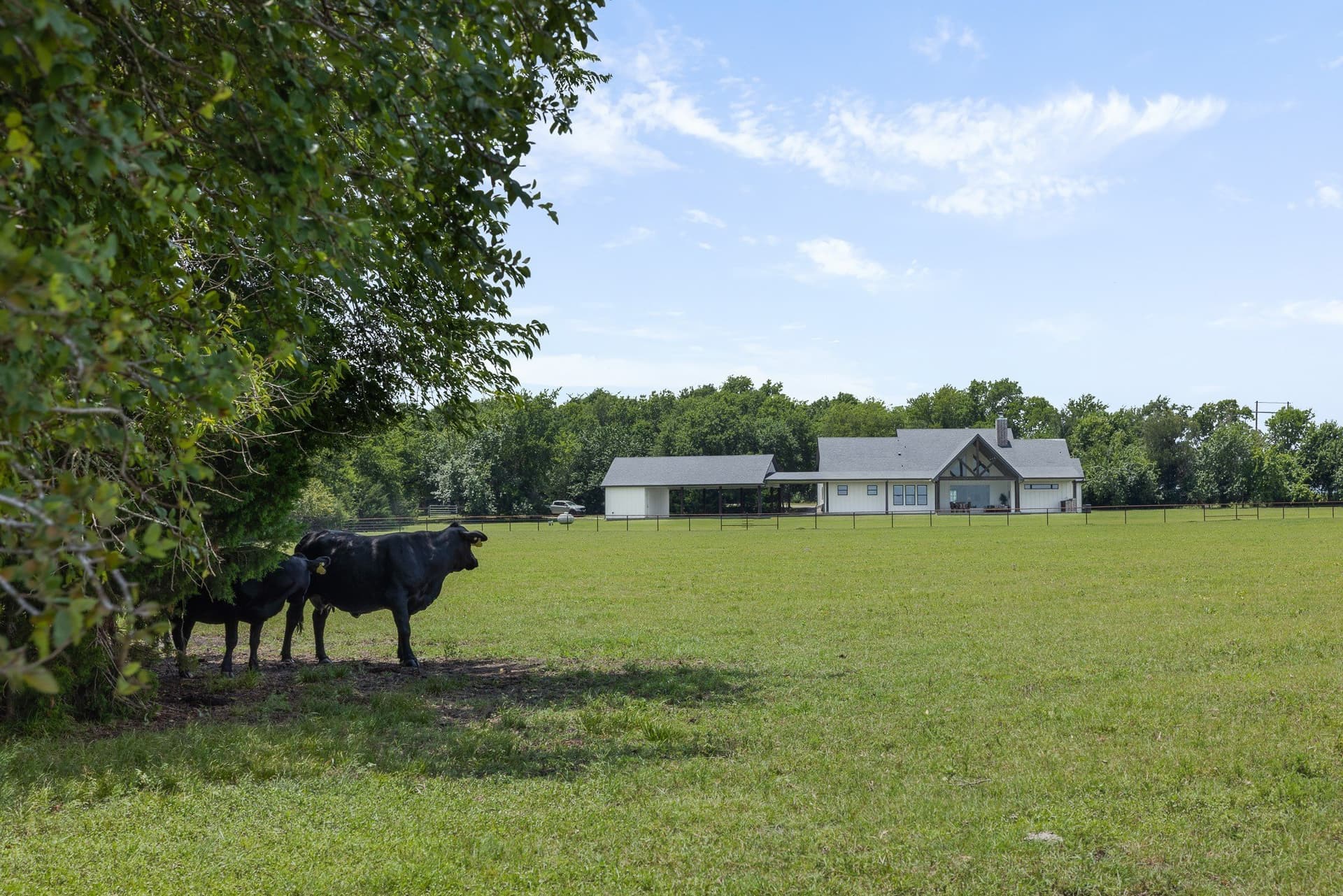 45.69 acres in Grimes County - photo 36