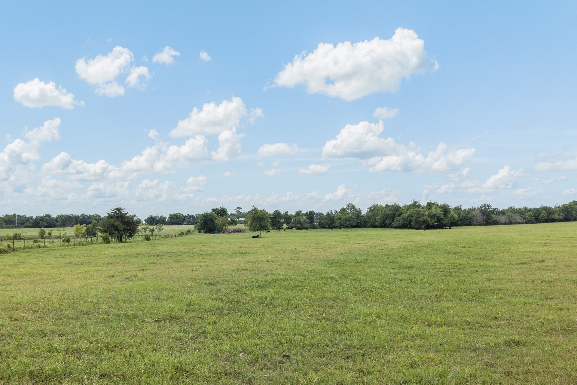 45.69 acres in Grimes County - photo 34