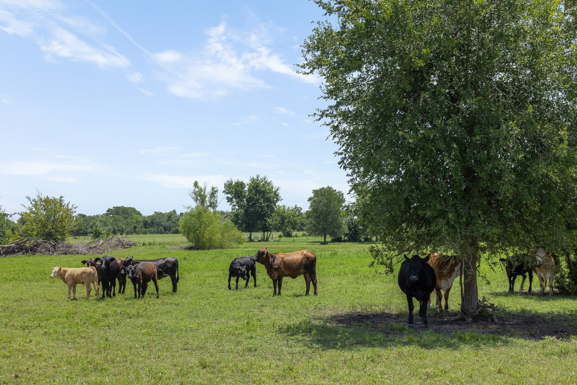 45.69 acres in Grimes County - photo 37