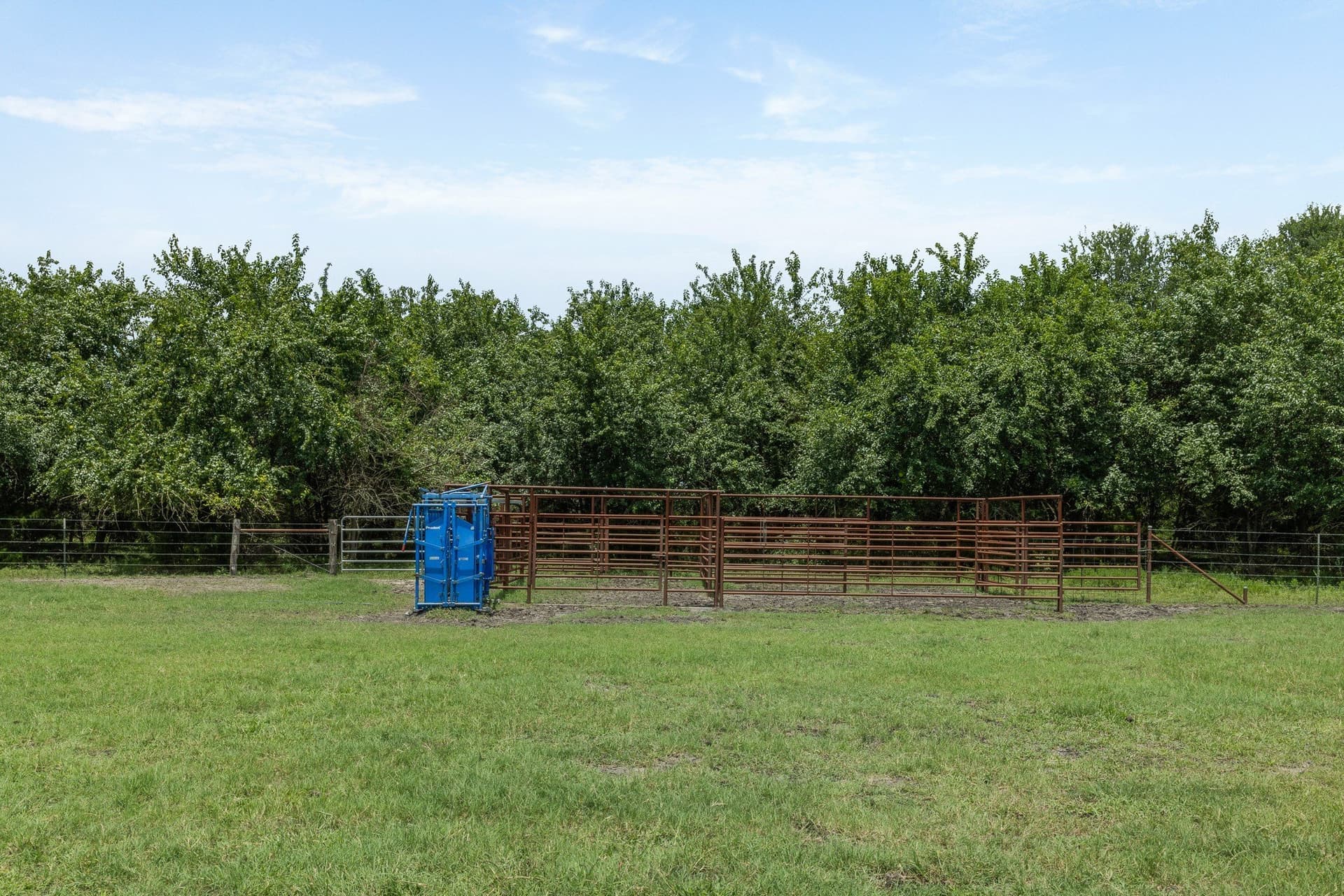 45.69 acres in Grimes County - photo 38