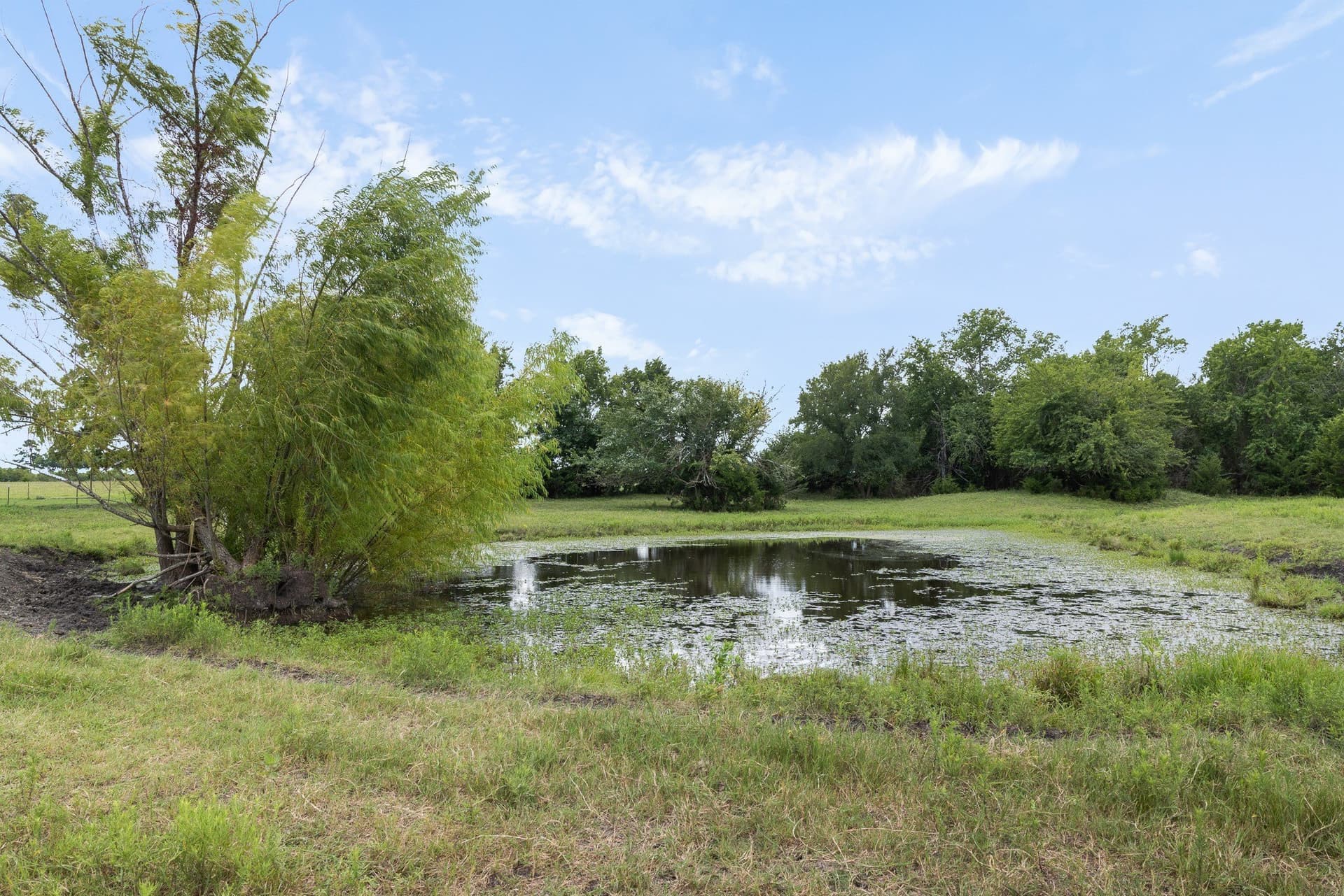 45.69 acres in Grimes County - photo 35
