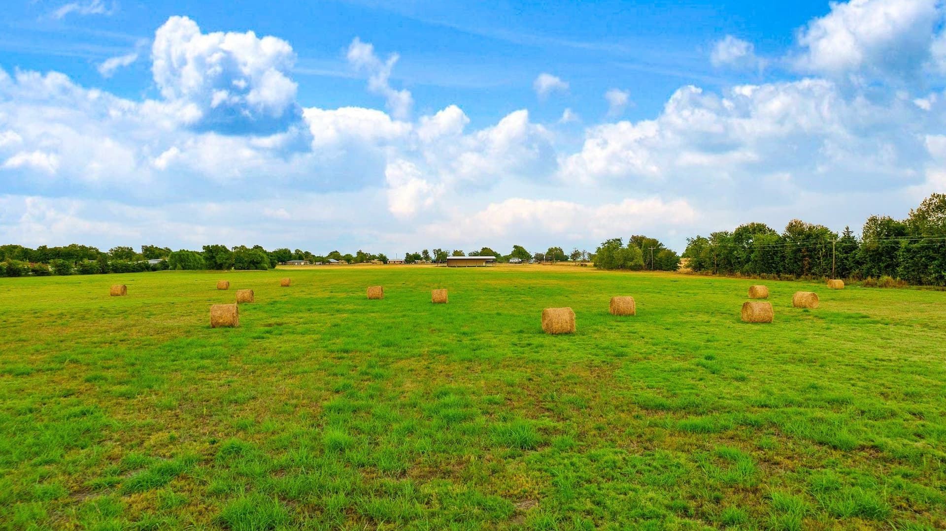 42.33 acres in Lamar County - photo 25