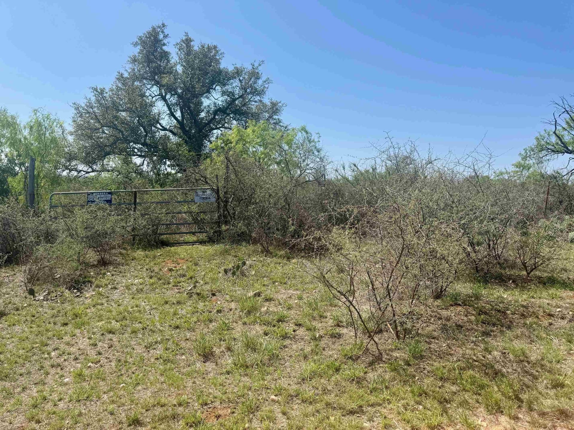 16 acres in Llano County - photo 13