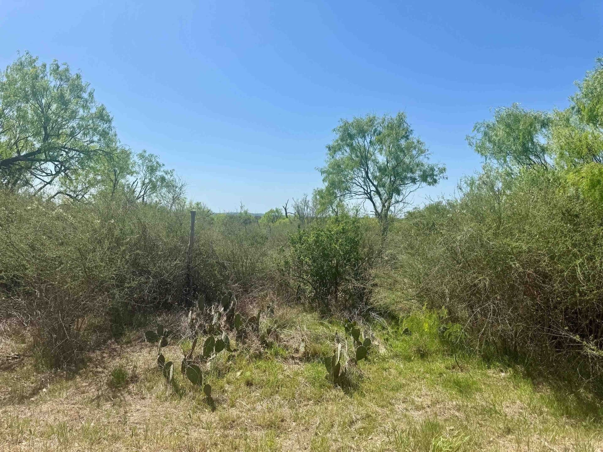 16 acres in Llano County - photo 14