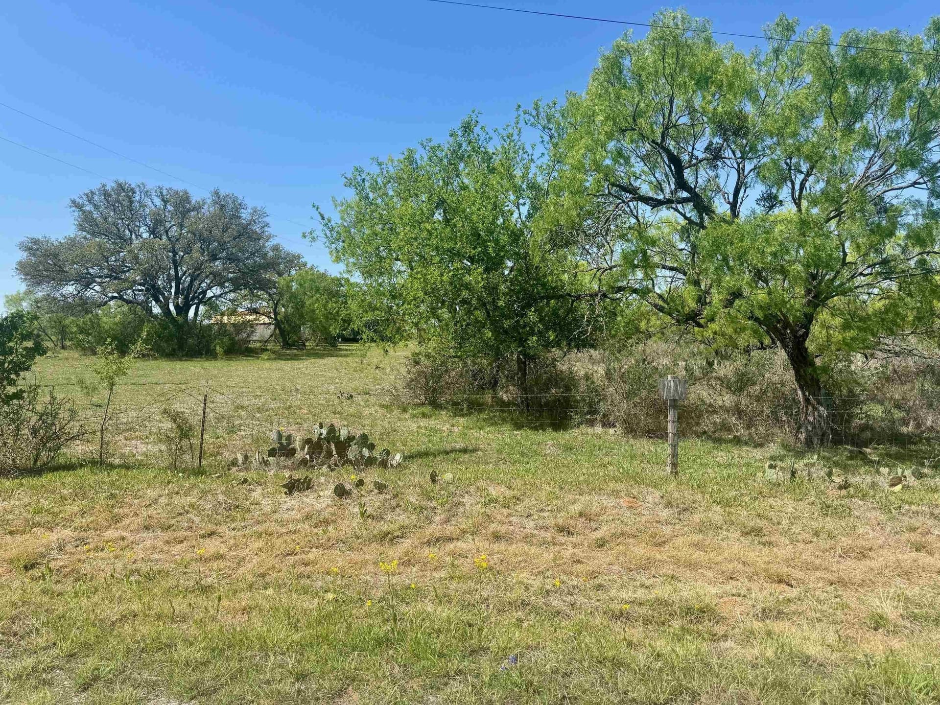16 acres in Llano County - photo 12