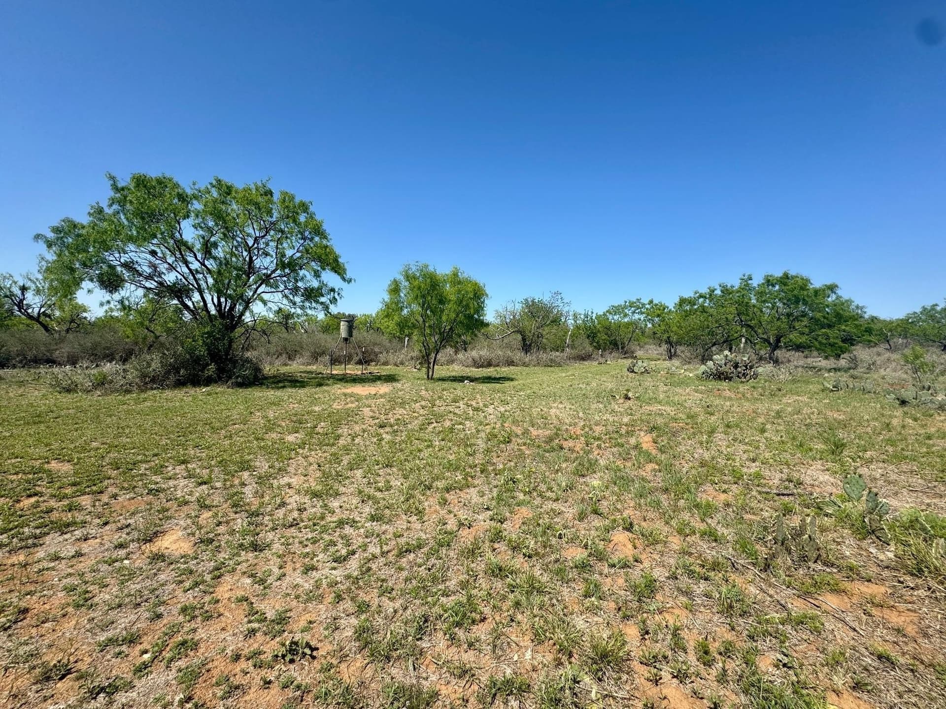 16 acres in Llano County - photo 9