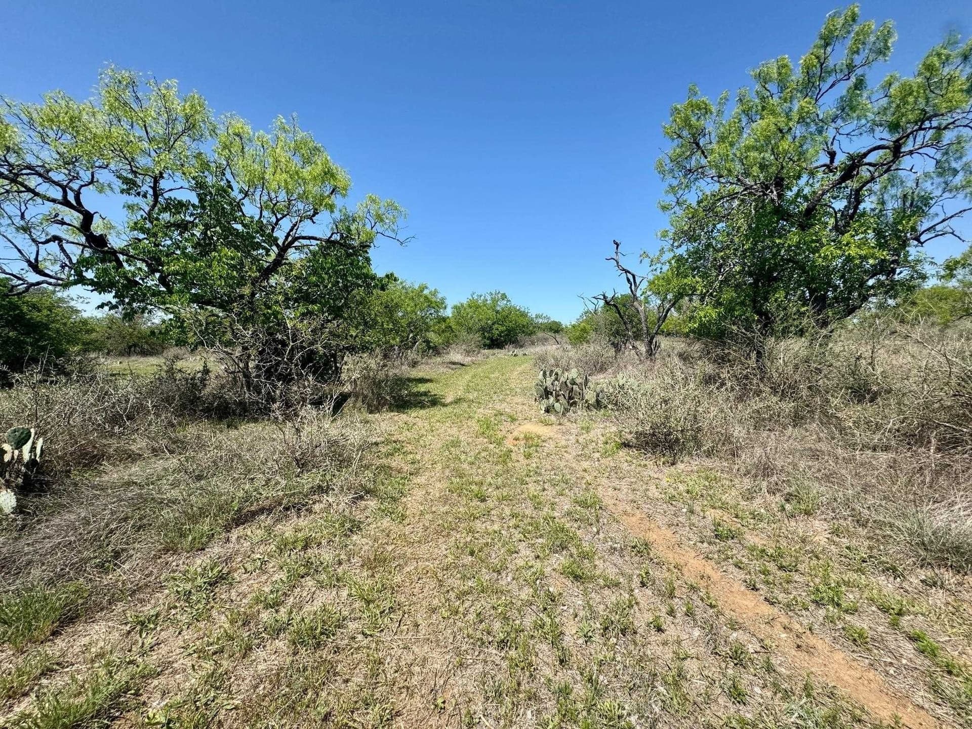 16 acres in Llano County - photo 10