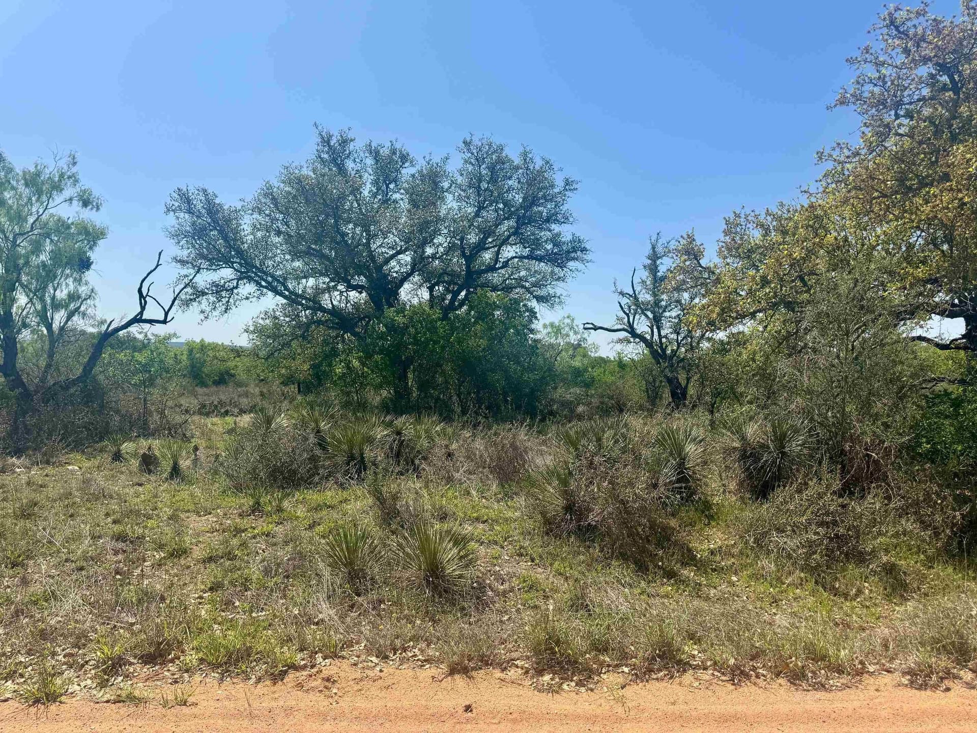 16 acres in Llano County - photo 15