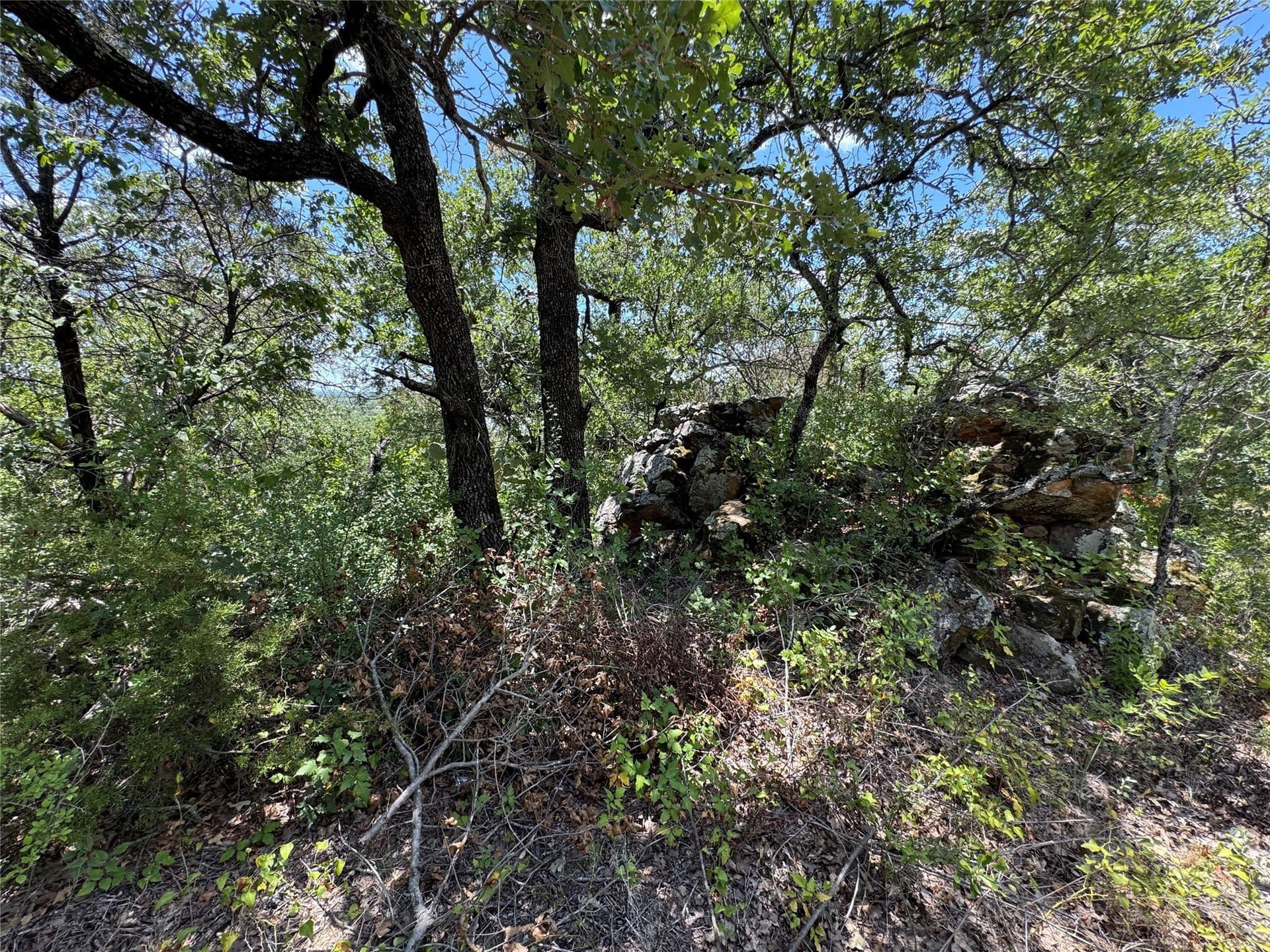1.4 acres in Palo Pinto County gallery image 4