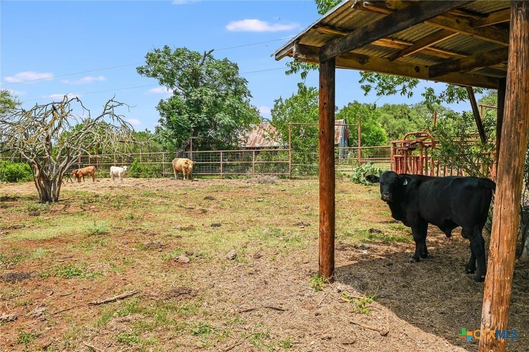 57.11 acres in Hays County - photo 32