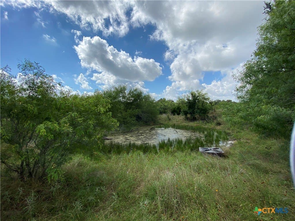 57.11 acres in Hays County - photo 19