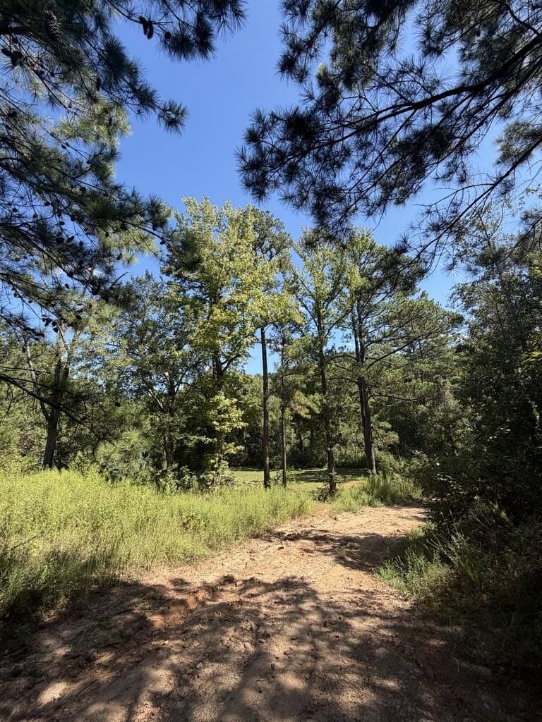 11.24 acres in CHEROKEE County - photo 20