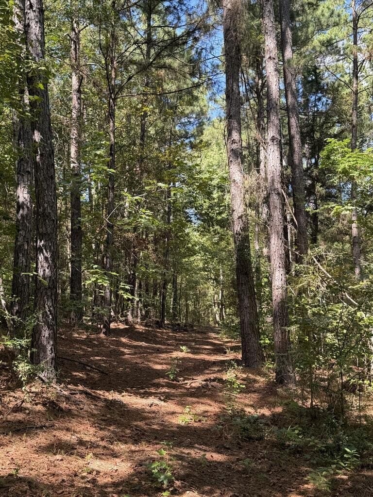 11.24 acres in CHEROKEE County - photo 16