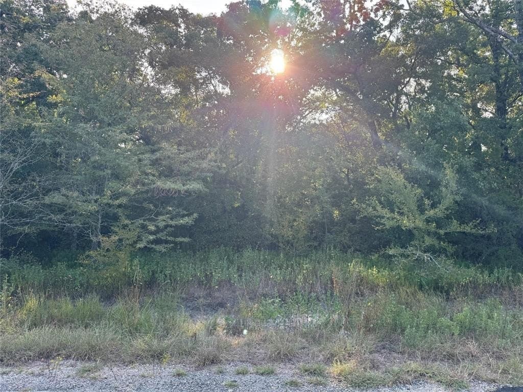 5 acres in Kaufman County gallery image 3