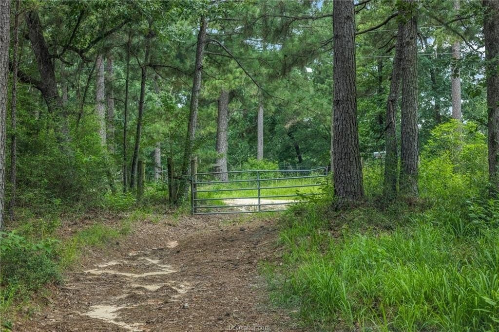 13 acres in Leon County featured view