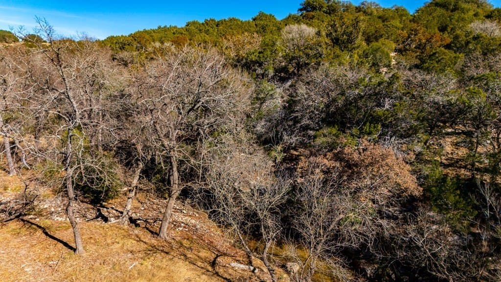 7.55 acres in Gillespie County - photo 25