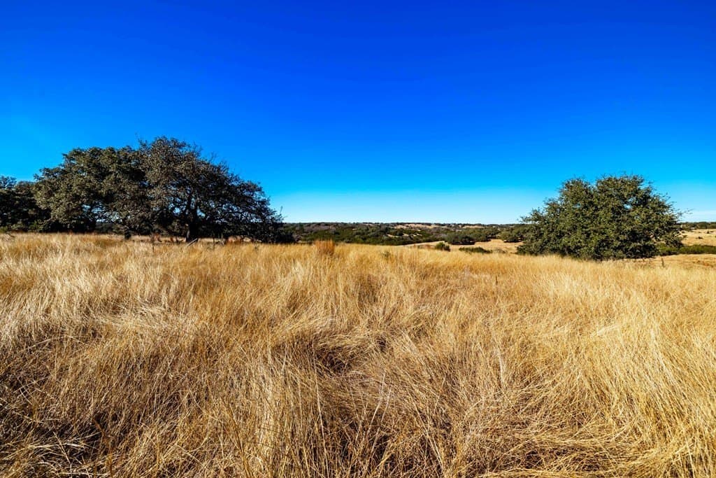 7.55 acres in Gillespie County gallery image 4